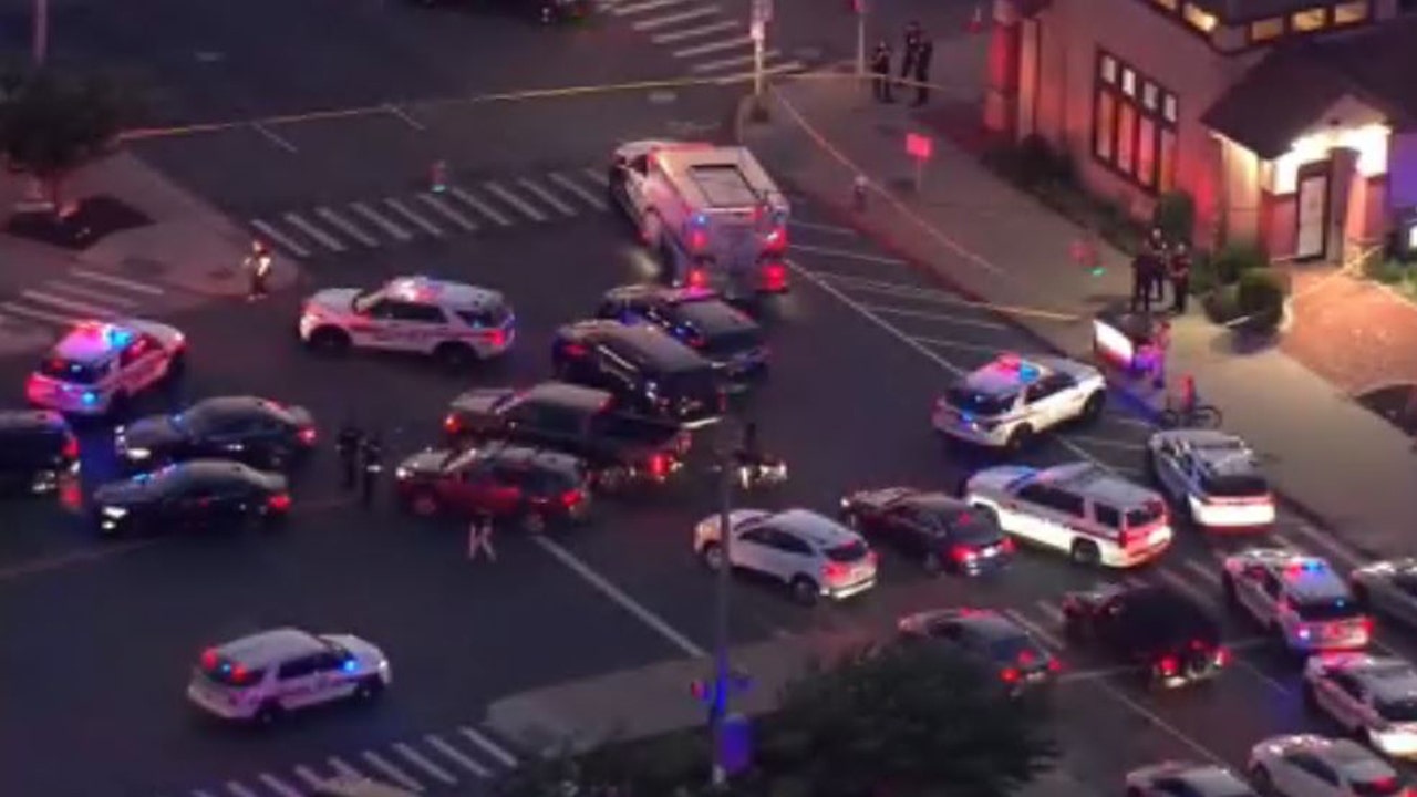 Long Island Senior Skip Day Devolves into Chaos When Gunfire Erupts at Massive Teen Party