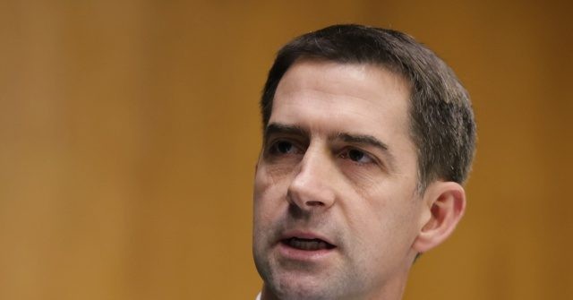 Cotton: 'America's Had a 'Kick Me' Sign on Our Back Because of Joe Biden's Weak Failed Presidency'