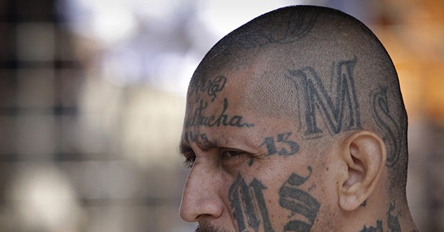 Report: Migrants, MS-13, and Russian Fraudsters Form Massive NYC Injury Insurance Scheme