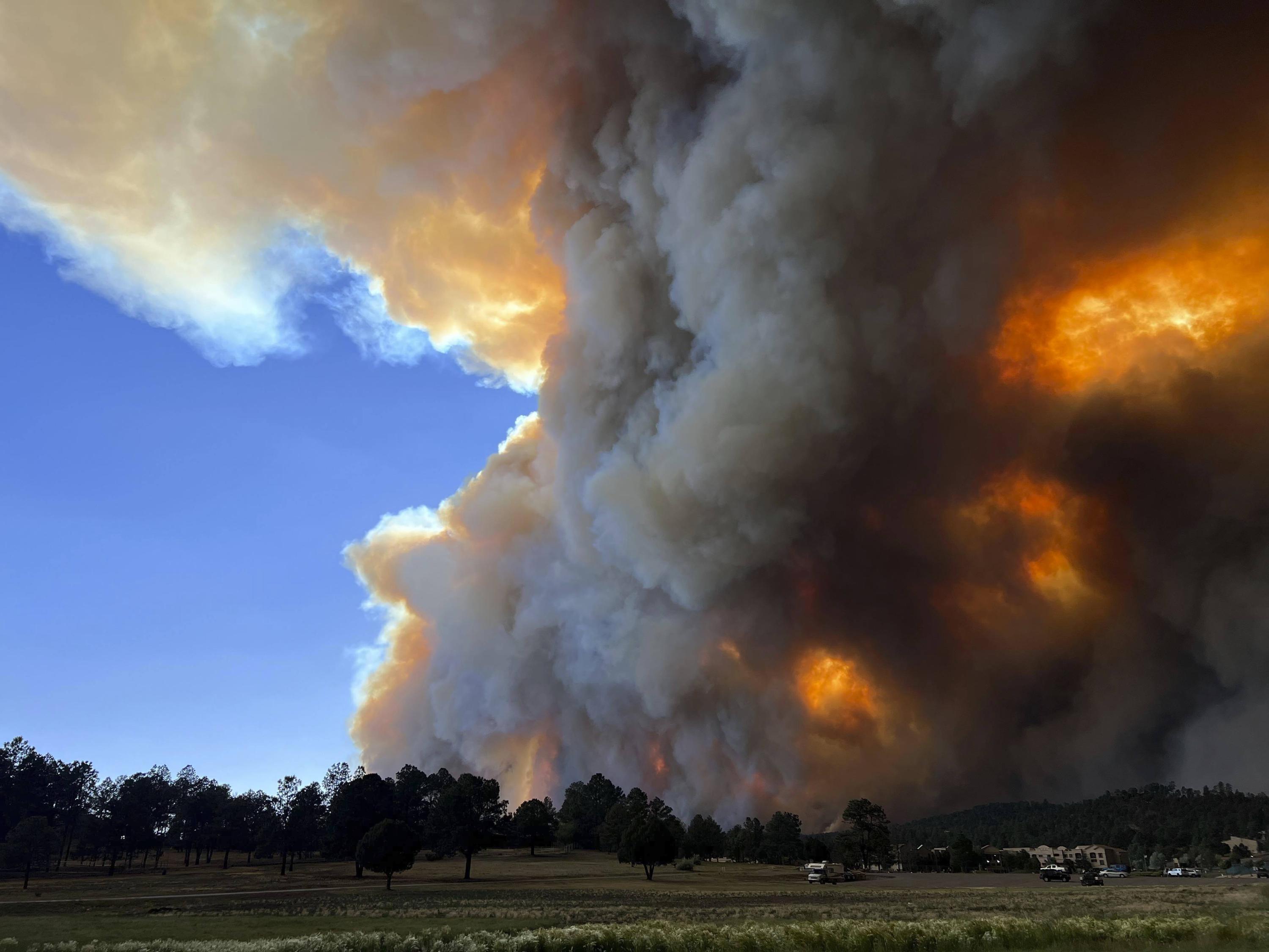 Escape from New Mexico Wildfire: 'Absolute Sheer Terror'