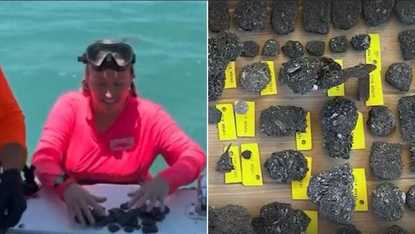 Treasure Hunters Unearth 300-Year-Old Shipwrecks in Florida