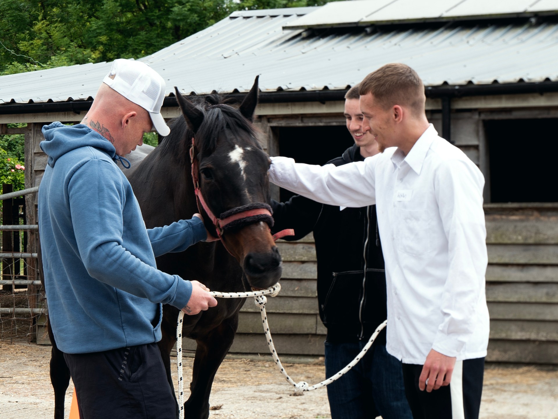 Could therapy horses be the solution to Britain’s prison crisis?