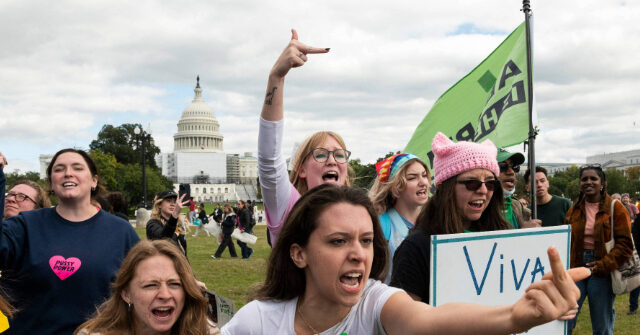 Pro-Life Groups Mark Dobbs Anniversary with Focus on Abortion's 'Dark Heart'